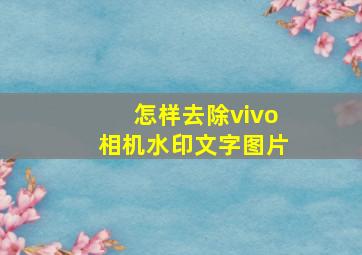 怎样去除vivo相机水印文字图片