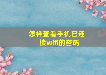 怎样查看手机已连接wifi的密码