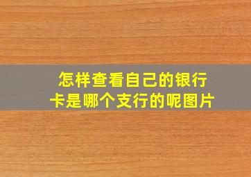 怎样查看自己的银行卡是哪个支行的呢图片