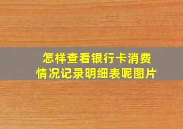 怎样查看银行卡消费情况记录明细表呢图片