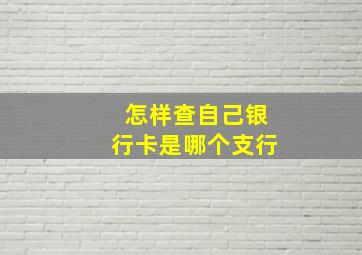 怎样查自己银行卡是哪个支行