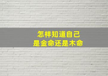 怎样知道自己是金命还是木命