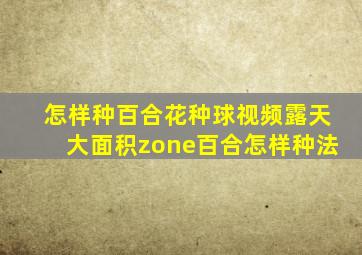 怎样种百合花种球视频露天大面积zone百合怎样种法