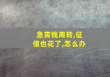 急需钱周转,征信也花了,怎么办