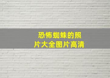 恐怖蜘蛛的照片大全图片高清