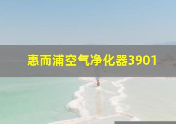 惠而浦空气净化器3901