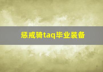 惩戒骑taq毕业装备