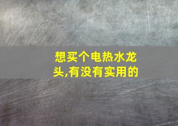 想买个电热水龙头,有没有实用的