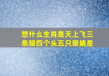 想什么生肖是天上飞三条腿四个头五只眼睛是