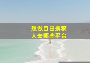 想做自由撰稿人去哪些平台