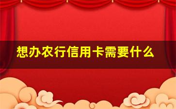 想办农行信用卡需要什么