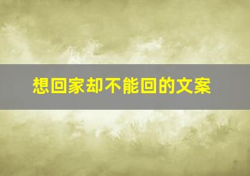 想回家却不能回的文案