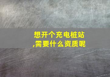 想开个充电桩站,需要什么资质呢