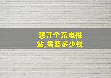 想开个充电桩站,需要多少钱