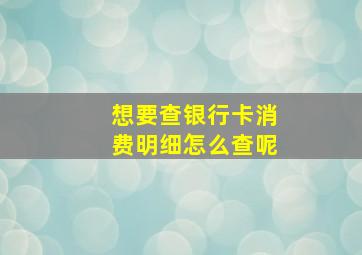 想要查银行卡消费明细怎么查呢