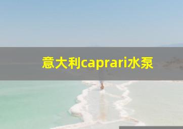 意大利caprari水泵