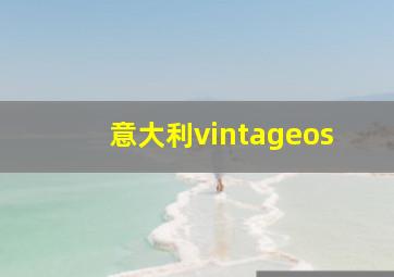 意大利vintageos