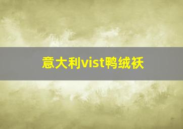 意大利vist鸭绒袄