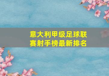 意大利甲级足球联赛射手榜最新排名