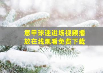 意甲球迷进场视频播放在线观看免费下载