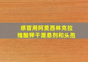 感冒用阿莫西林克拉维酸钾干混悬剂和头孢