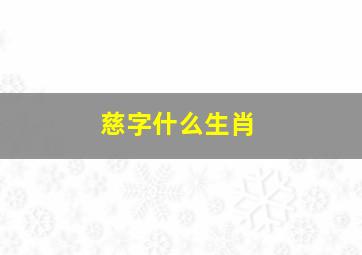 慈字什么生肖