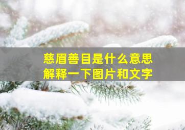 慈眉善目是什么意思解释一下图片和文字