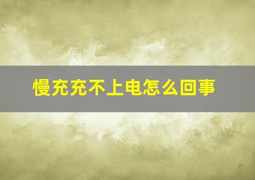 慢充充不上电怎么回事