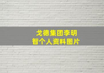 戈德集团李明智个人资料图片