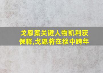 戈恩案关键人物凯利获保释,戈恩将在狱中跨年