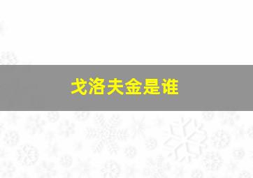 戈洛夫金是谁