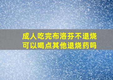 成人吃完布洛芬不退烧可以喝点其他退烧药吗