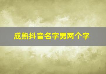 成熟抖音名字男两个字