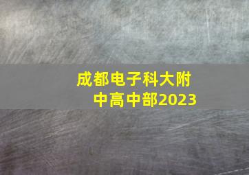 成都电子科大附中高中部2023