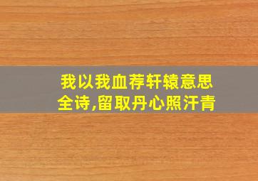 我以我血荐轩辕意思全诗,留取丹心照汗青