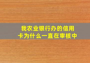 我农业银行办的信用卡为什么一直在审核中