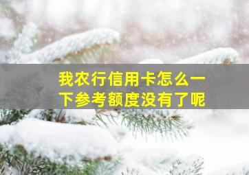 我农行信用卡怎么一下参考额度没有了呢