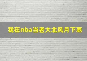 我在nba当老大北风月下寒