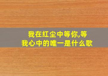 我在红尘中等你,等我心中的唯一是什么歌