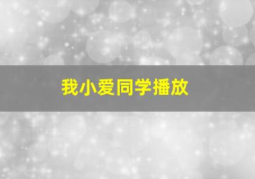 我小爱同学播放