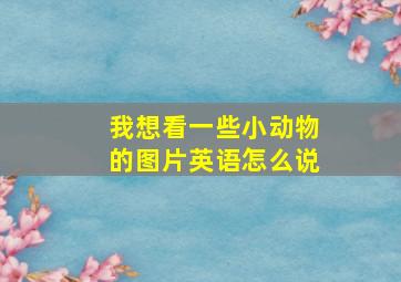 我想看一些小动物的图片英语怎么说