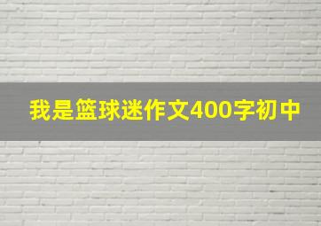 我是篮球迷作文400字初中