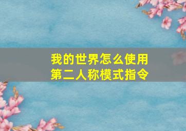 我的世界怎么使用第二人称模式指令