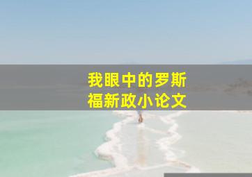 我眼中的罗斯福新政小论文