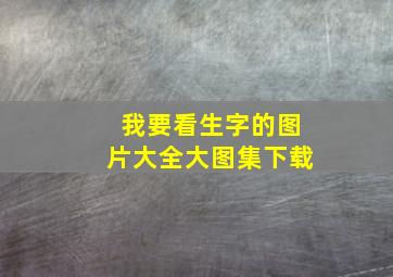 我要看生字的图片大全大图集下载