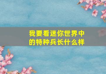 我要看迷你世界中的特种兵长什么样