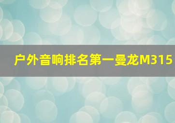 户外音响排名第一曼龙M315