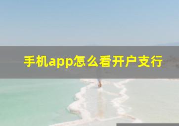 手机app怎么看开户支行