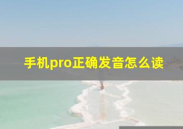 手机pro正确发音怎么读