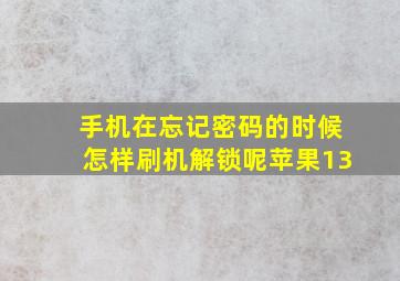 手机在忘记密码的时候怎样刷机解锁呢苹果13